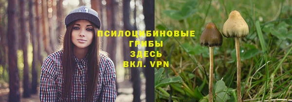 герыч Вязьма